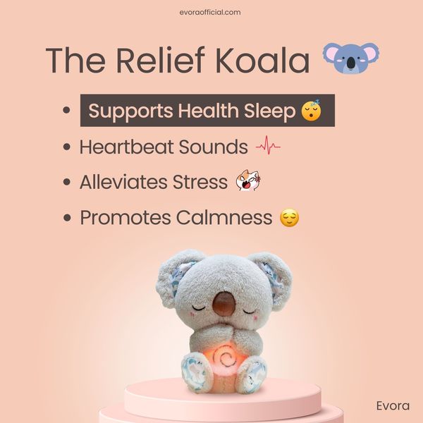 The Calming Koala