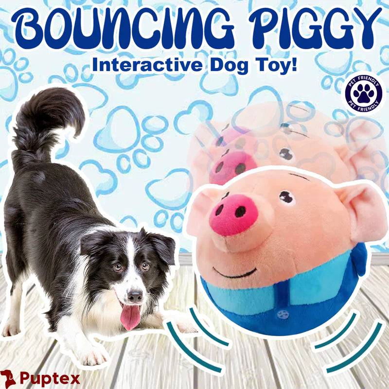 Bouncing Jump Ball DOG TOY