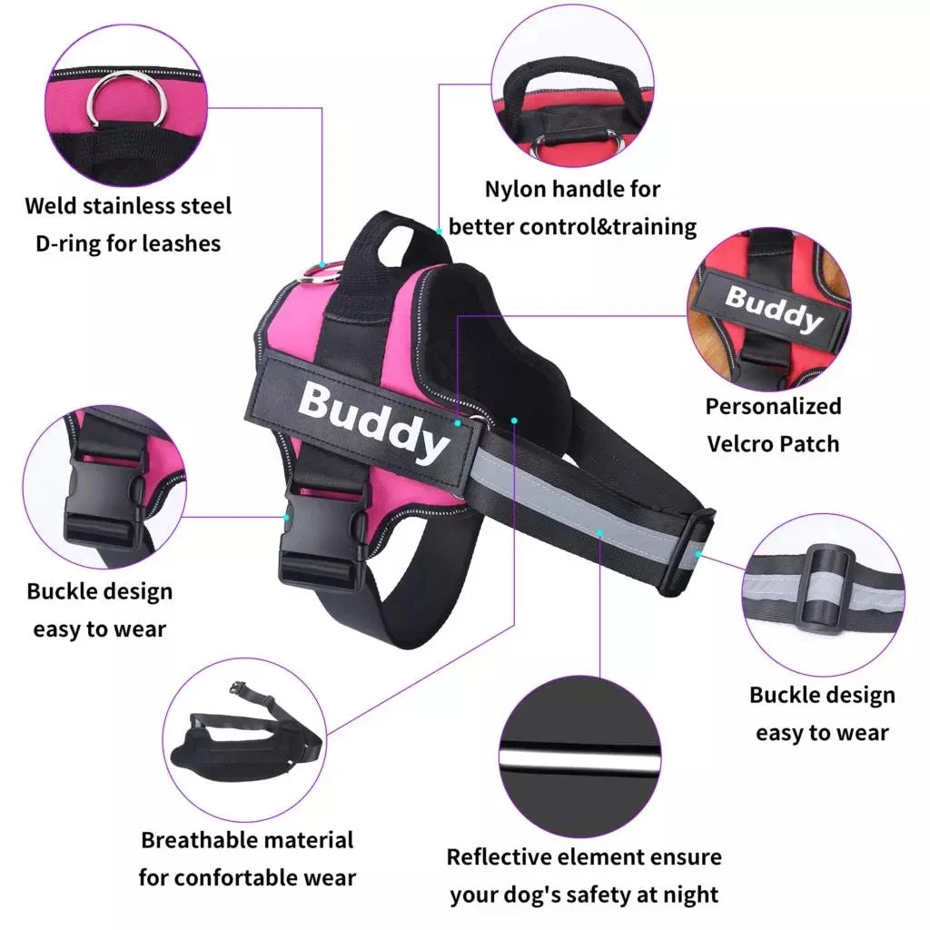 Personalized Dog Harness