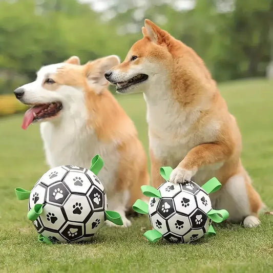 Hondenvoetbal speelgoed