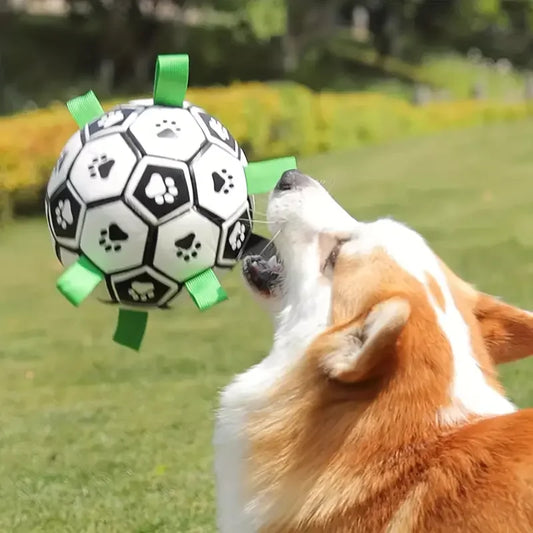 Giocattolo da calcio per cani