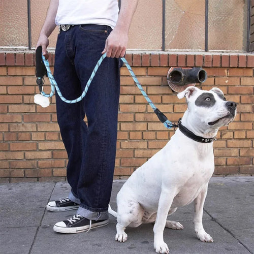 Strong Leashes for Dogs leash