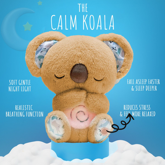 The Calming Koala